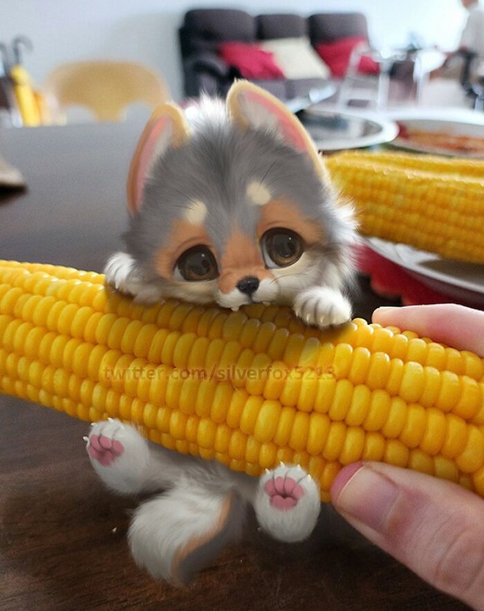 Digital Furry Animal In Real-Life Situation