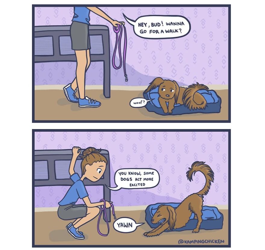 “The Weirdness Of Life Told Through Comics”: 22 New Comics By “Kamping Chicken”