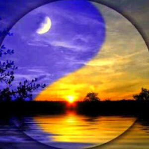 michaelstuart avatar