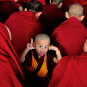 loriusinterruptus avatar