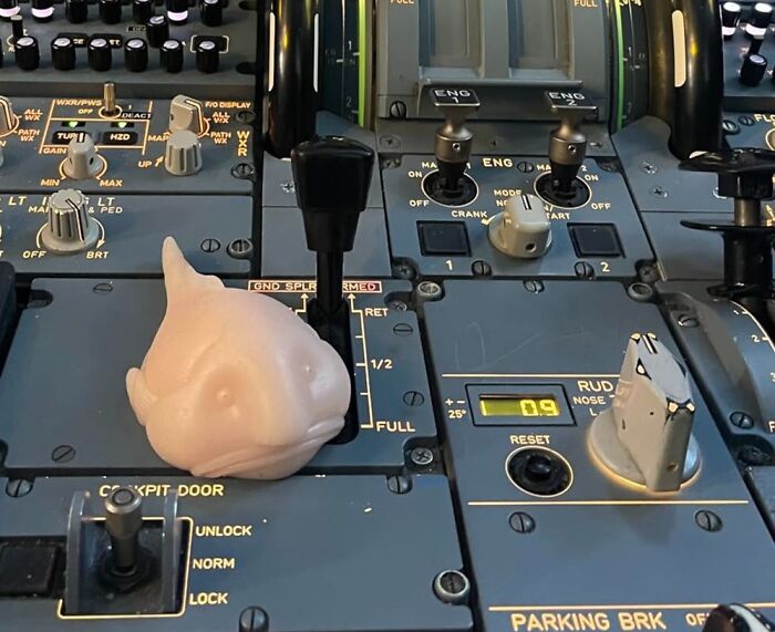 Funny product fish-shaped stress toy on aircraft control panel.