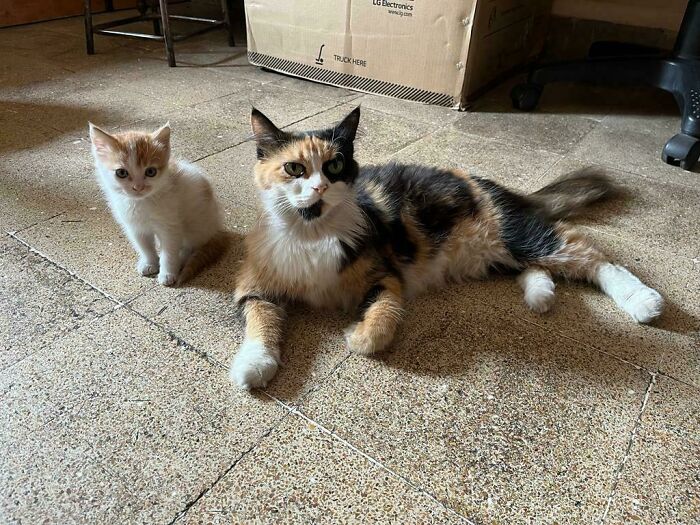 Got Adopted By Momma And Her Good Kid!!