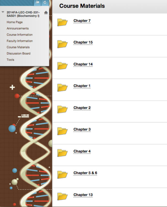 How My Professor Organizes Her Lectures For Our Class
