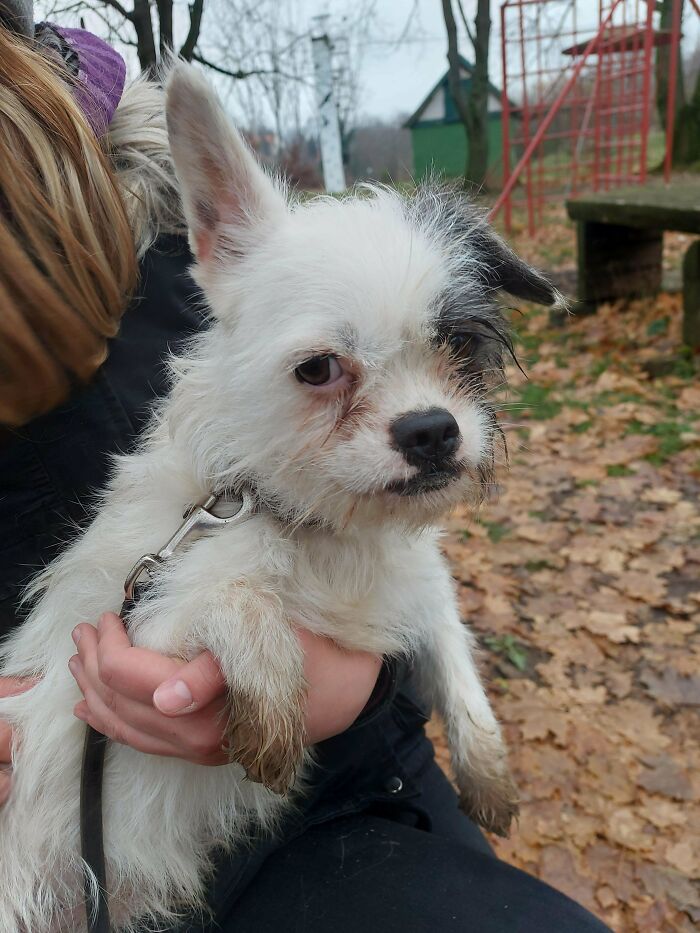 Is He Really That Ugly? Gonna Adopt Him!!