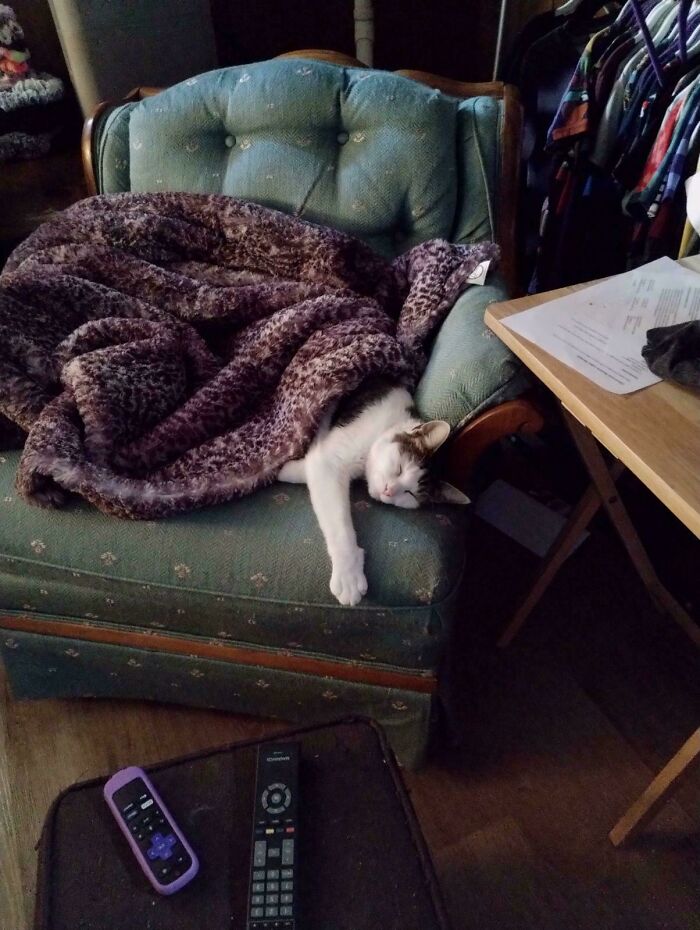 Adopted This Guy A Couple Days Ago, He Seems To Be Settling In Well :)