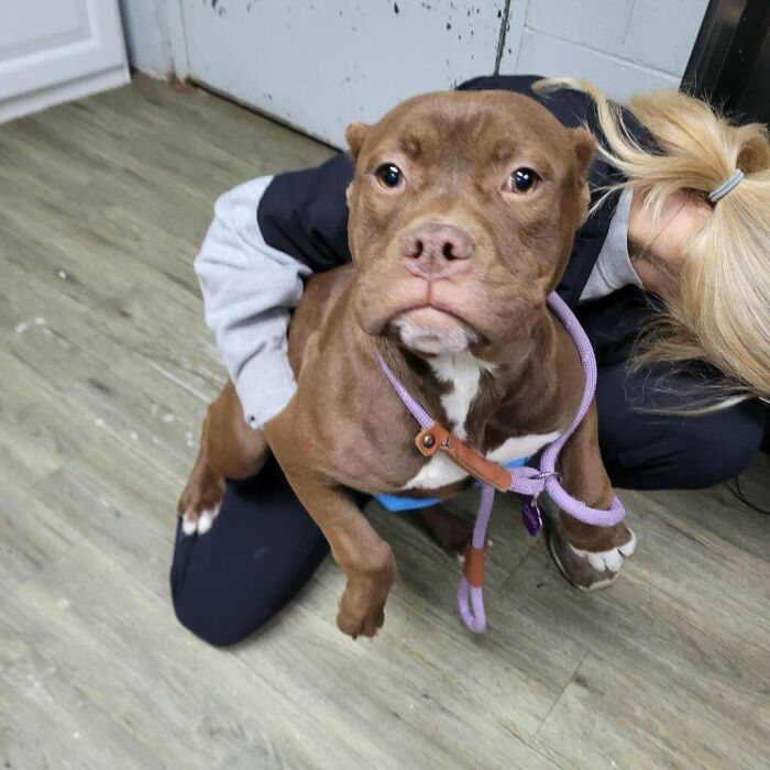 I Think Sugar Belongs Here… She Just Adopted Me!