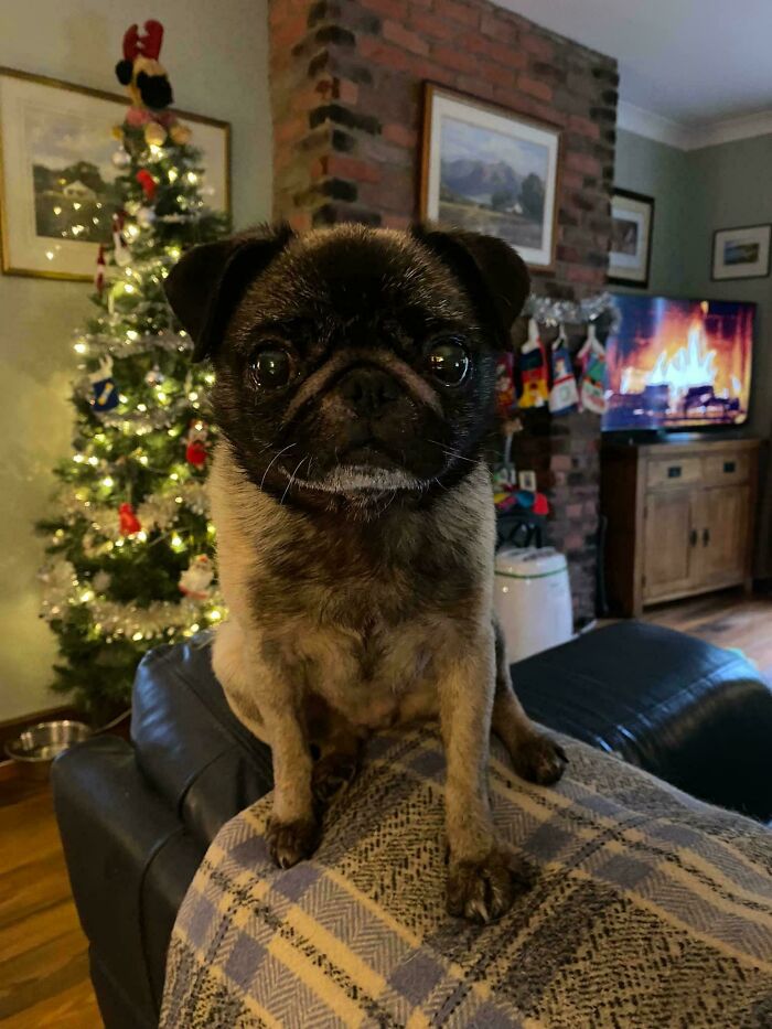 This Is Tiny, Adopted Today