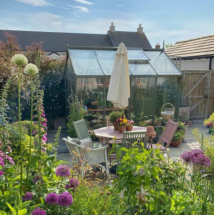 Small green house in a plant-filled backyard with outdoor seating, showcasing backyard ideas for chic outdoors.