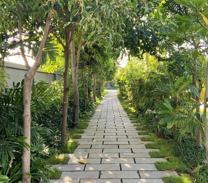 Stone walkway lined with trees and lush greenery, creating a chic backyard outdoor space with budget-friendly landscaping ideas.