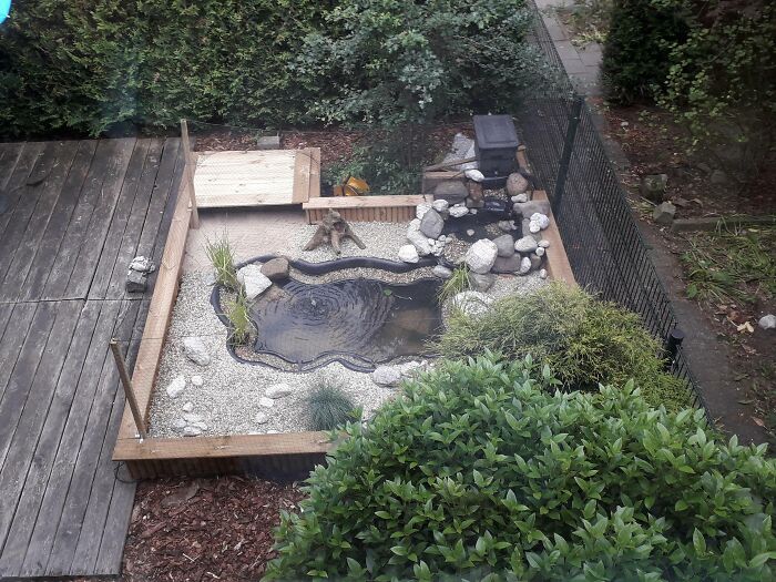 Small backyard pond surrounded by rocks and greenery, showcasing chic outdoors with budget-friendly backyard ideas.