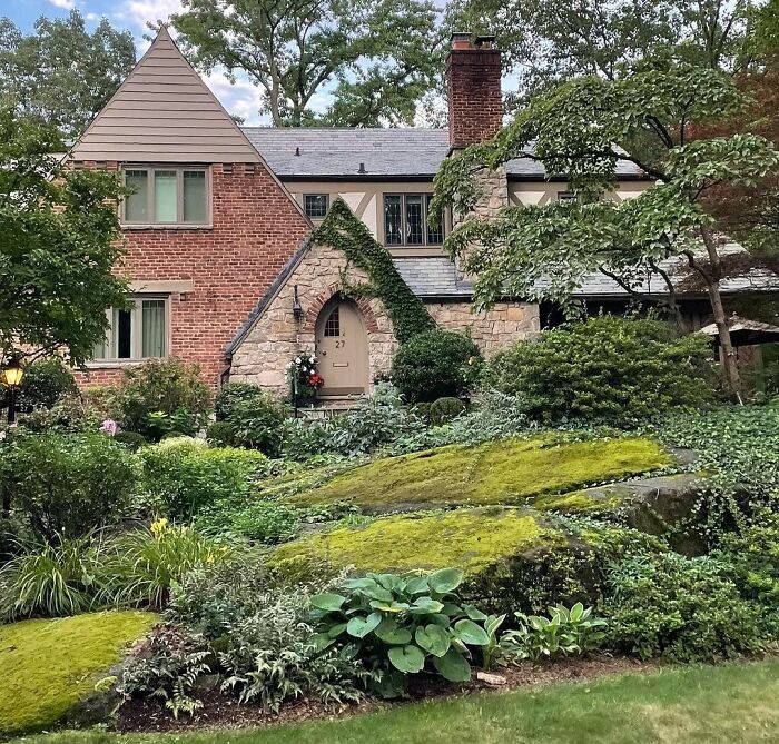 Moss dominant backyard with lush greenery and stone cottage enhancing chic outdoors with budget-friendly landscaping ideas.