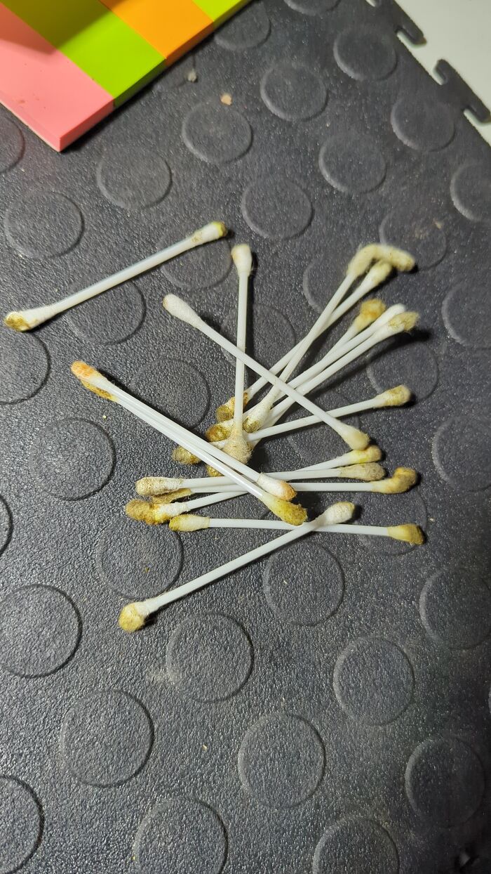 My Coworker Cleaned His Ears At Work This Afternoon