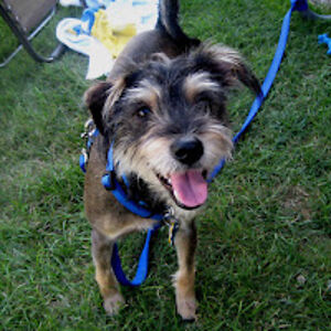 kathleenbernander avatar