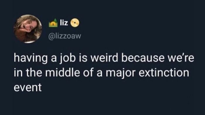 Workipedia-Antiwork-Memes