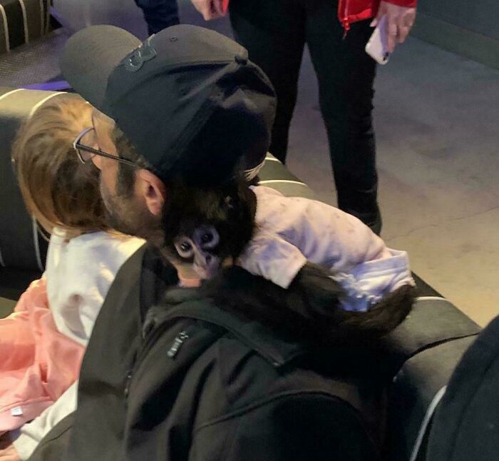 Someone Brought In Their Pet Monkey. How’s Everybody Else’s Saturday Night?