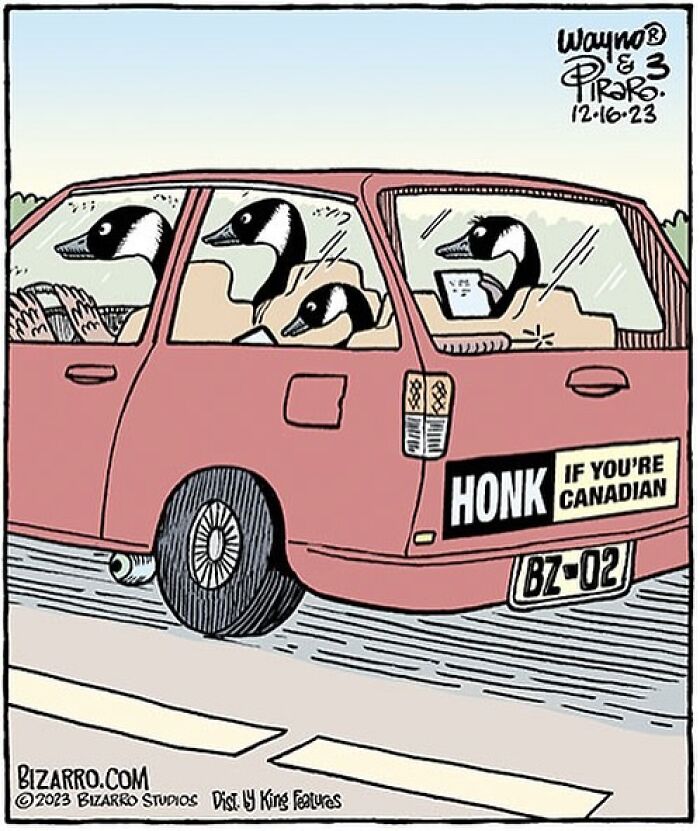 New Silly And Funny “Bizarre” Comics About Absurd Situations From This Artist