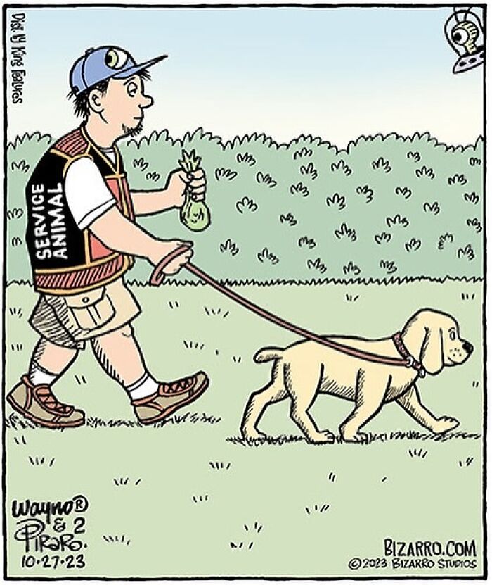 New Silly And Funny “Bizarre” Comics About Absurd Situations From This Artist