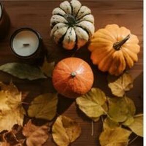 bargerkirsten avatar