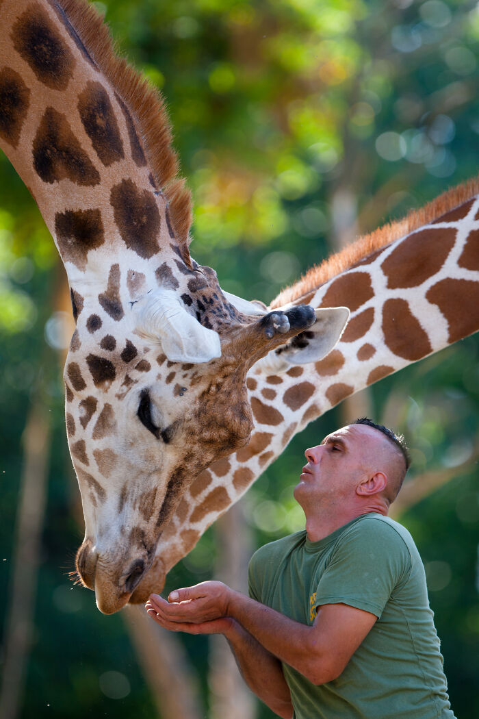 Sad News From The Zoo In Skopje
