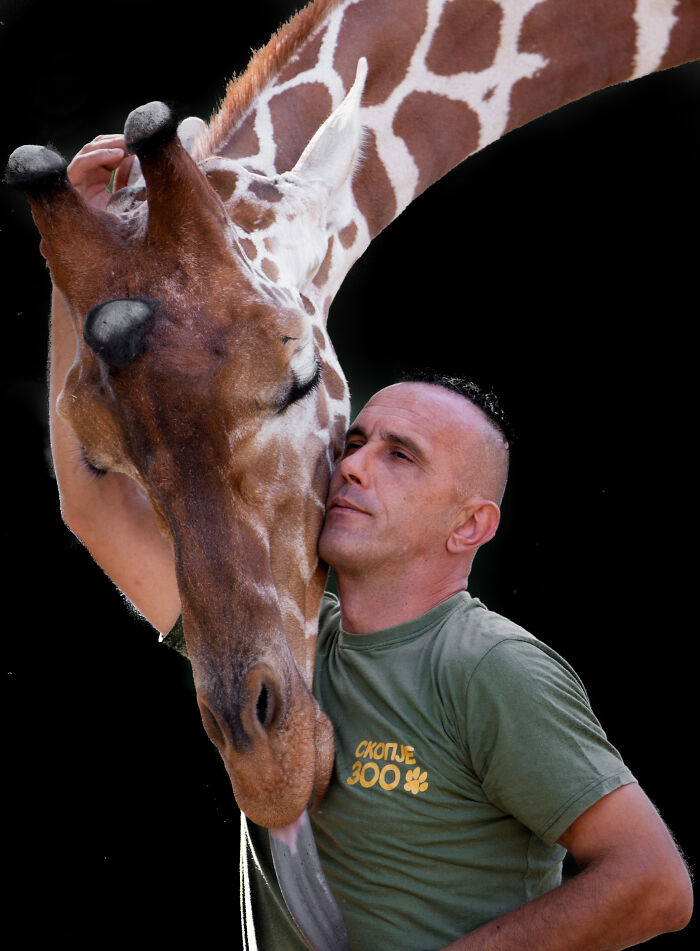 Sad News From The Zoo In Skopje