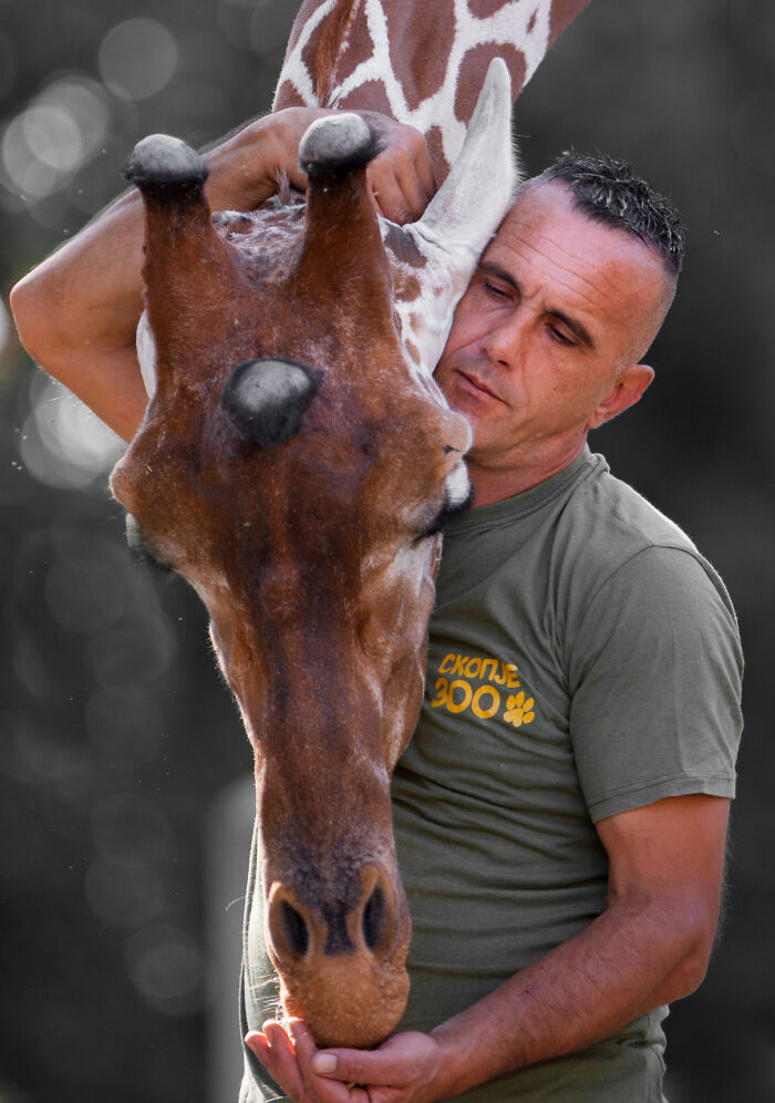 Sad News From The Zoo In Skopje