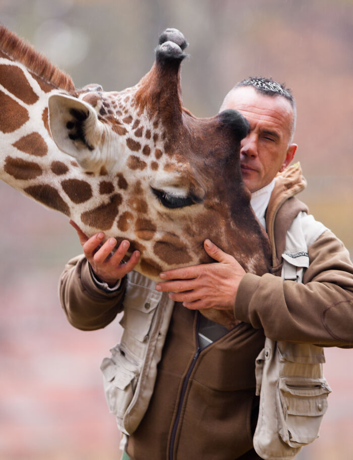 Sad News From The Zoo In Skopje