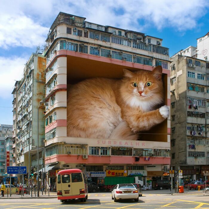 Digital Artist Shows What Hong Kong Would Be Like If Giant Animals Invaded It (34 Pics)