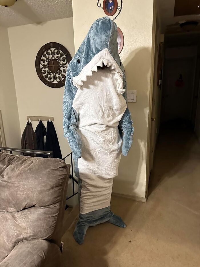 Person in a funny shark costume standing in a living room.