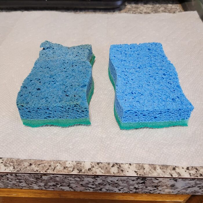 Two blue cleaning sponges on paper towels, part of a pre-2025 cleaning mission.
