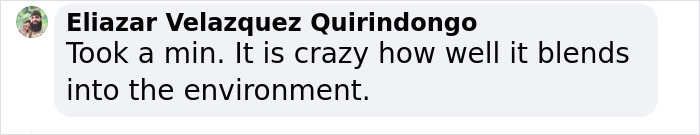 “I’m Losing My Mind”: People Go Crazy Trying To Spot The Snow Leopard Hidden In This Photo “I’m Losing My Mind”: People Go Crazy Trying To Spot The Snow Leopard Hidden In This Photo