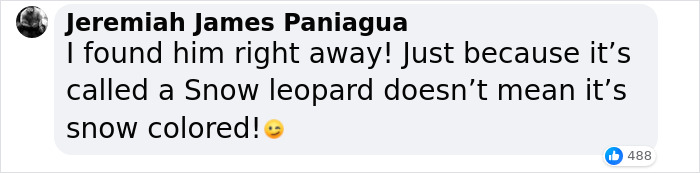 “I’m Losing My Mind”: People Go Crazy Trying To Spot The Snow Leopard Hidden In This Photo “I’m Losing My Mind”: People Go Crazy Trying To Spot The Snow Leopard Hidden In This Photo