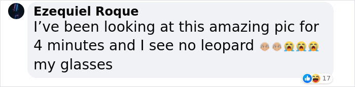 “I’m Losing My Mind”: People Go Crazy Trying To Spot The Snow Leopard Hidden In This Photo “I’m Losing My Mind”: People Go Crazy Trying To Spot The Snow Leopard Hidden In This Photo