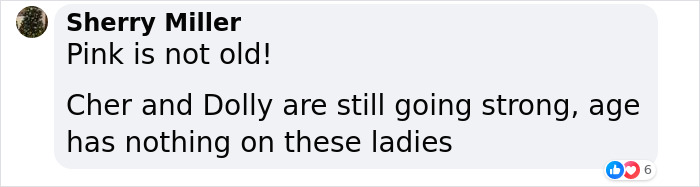 “I Still Wear A Leotard To Work”: Pink Slams Troll Calling Her “Old” On Social Media “I Still Wear A Leotard To Work”: Pink Slams Troll Calling Her “Old” On Social Media