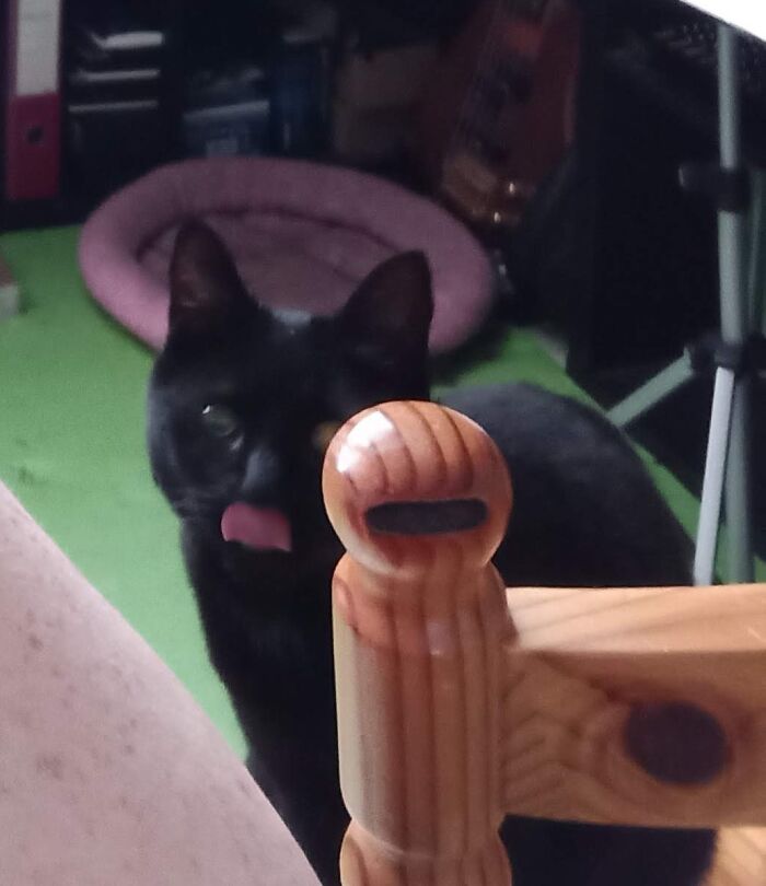 Pouzz Thinking About Chomping On My Arm