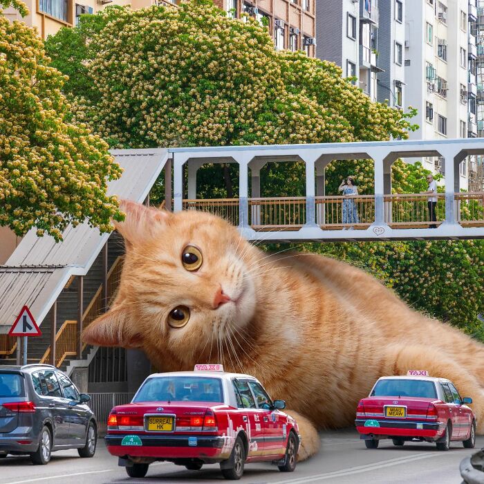 Digital Artist Shows What Hong Kong Would Be Like If Giant Animals Invaded It (34 Pics)