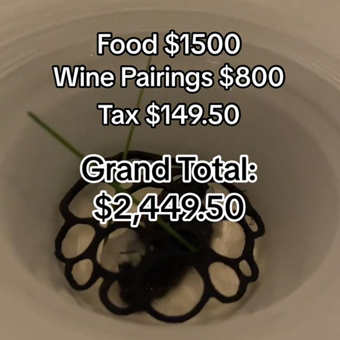 &ldquo;I Was Called Poor 20 Times&rdquo;: Woman Shows $2.5k Restaurant Bill For Dinner At Disney World