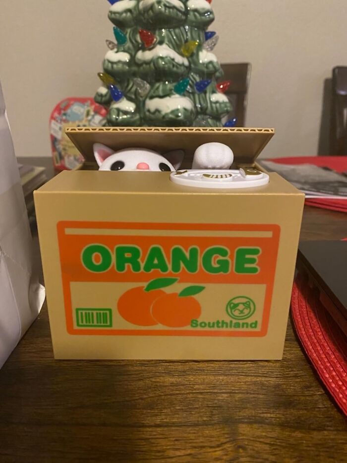 Funny product: Cute cat coin bank hidden in an orange box with a Christmas tree in the background.