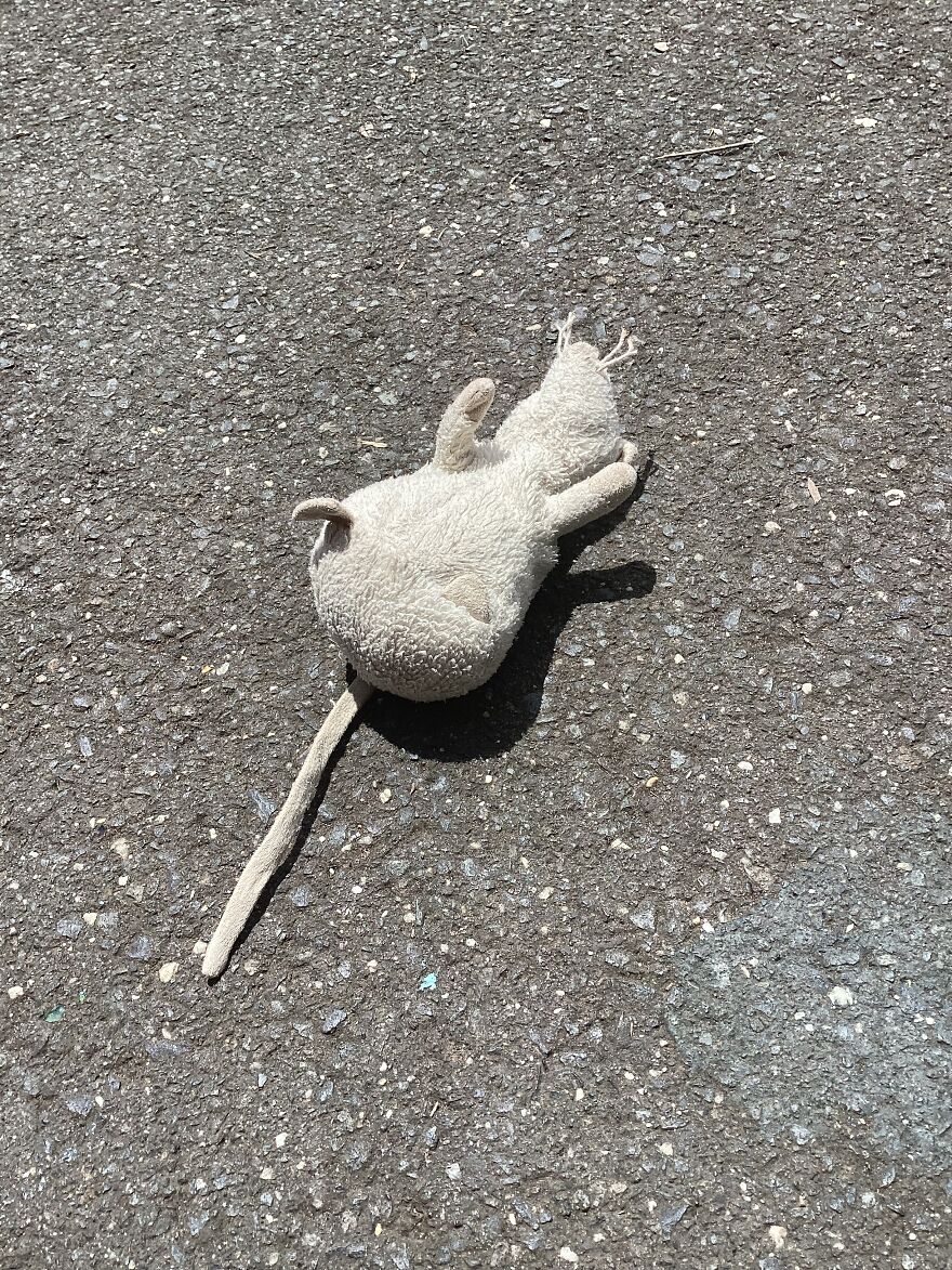 Cursed Images The Kids In My Basement Gave Me