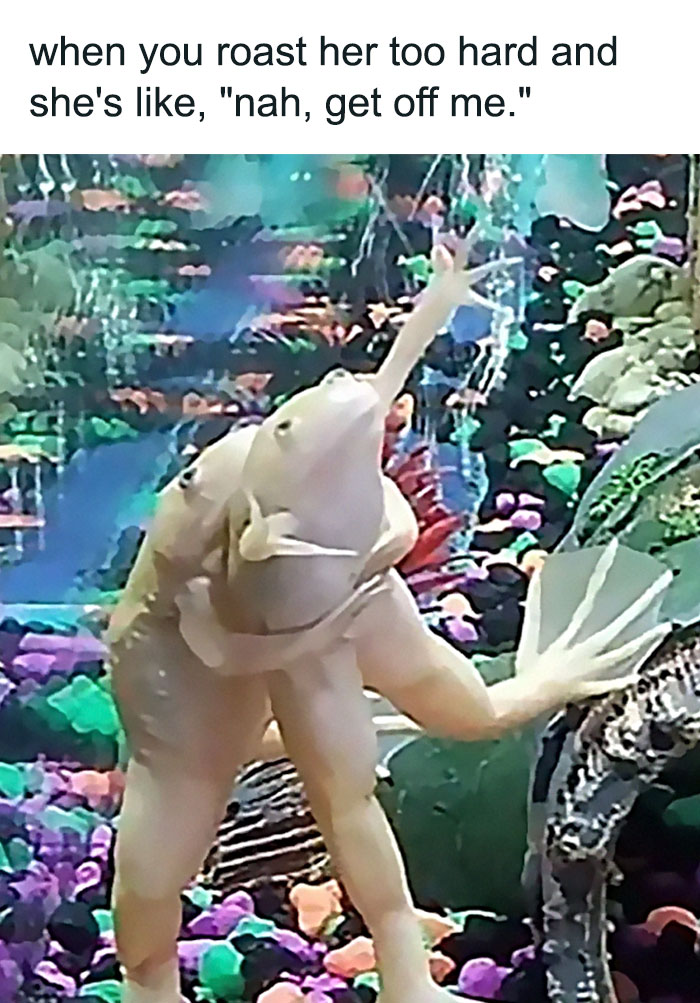 Funny-Relationship-Memes