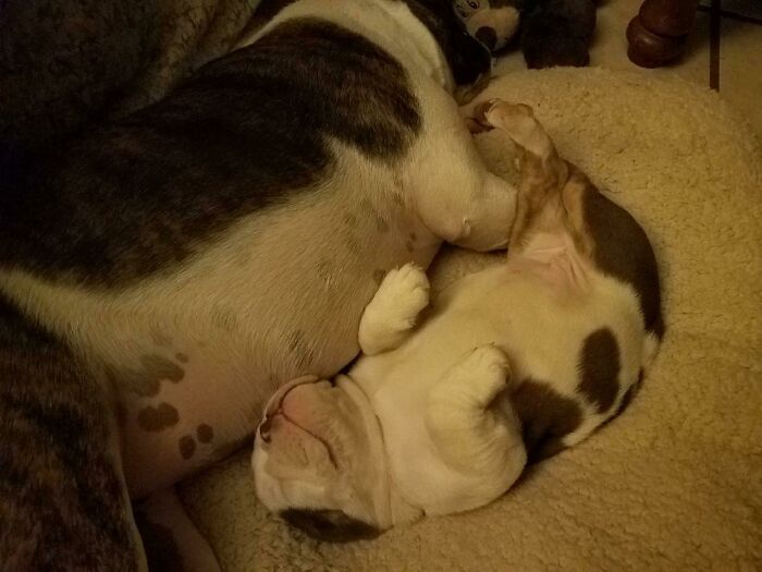 Chillin With Big Sister