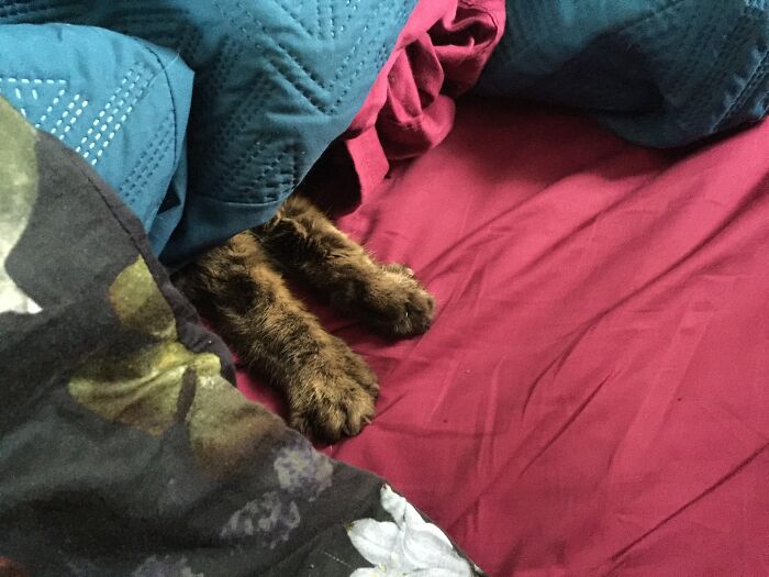 Not Ready To Deal With The World Right Now