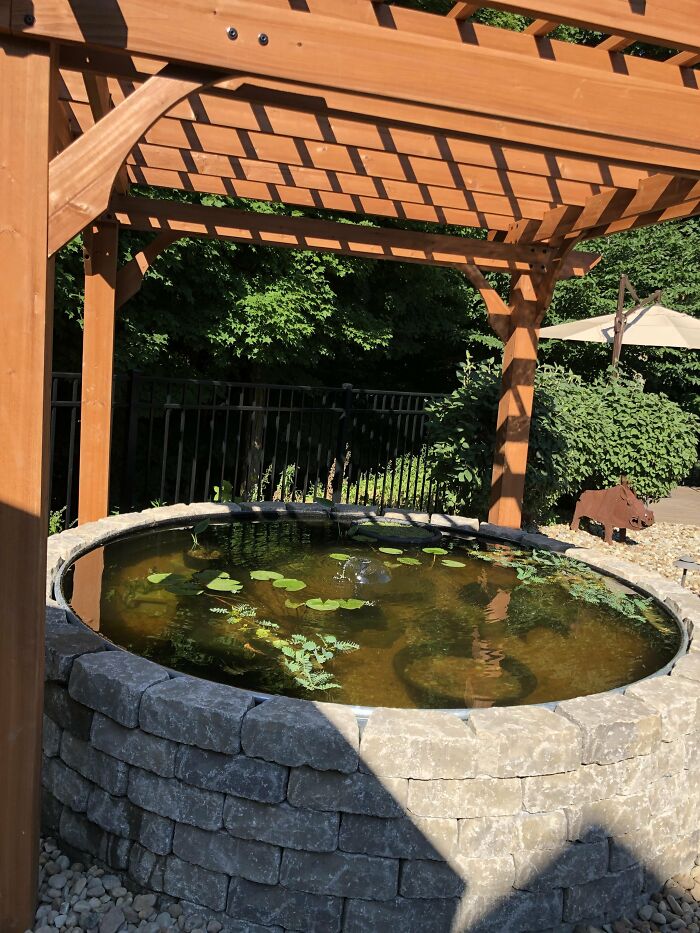 Small lotus pond with stone wall and wooden pergola in a backyard, showcasing chic outdoors ideas and budget-friendly options.