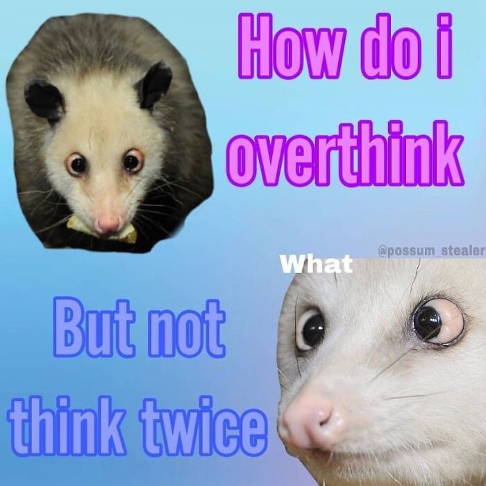 The Most Relatable Thing Doesn't Exi- Nvm