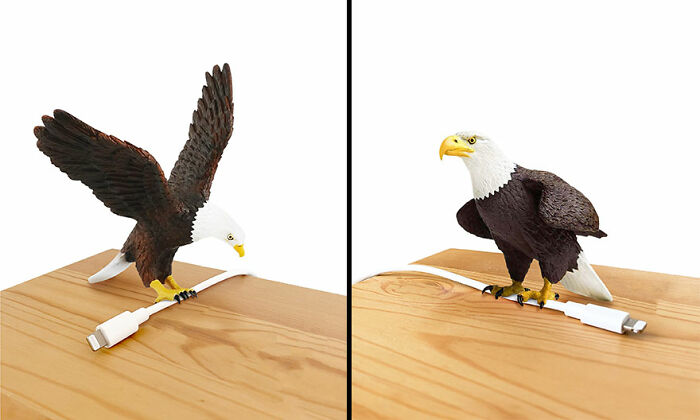 Eagle-shaped everyday invention holding a charging cable on a wooden surface, a cute and funny household gadget.