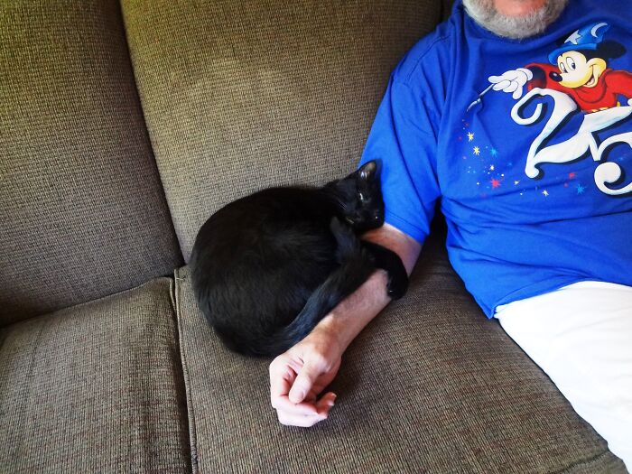 Asta Loves Sleeping On My Arm