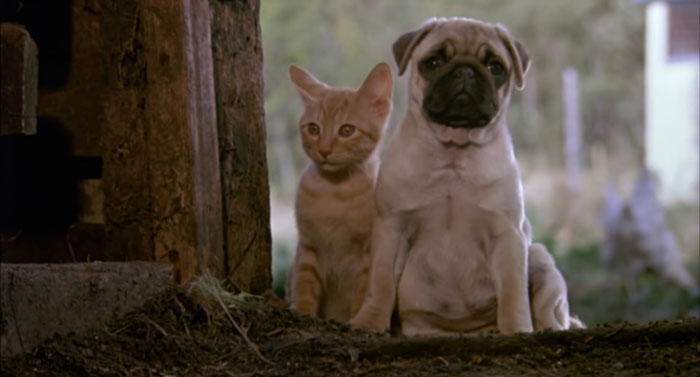 27 Movies That Didn’t Stand The Test Of Time Despite Being So Popular At First