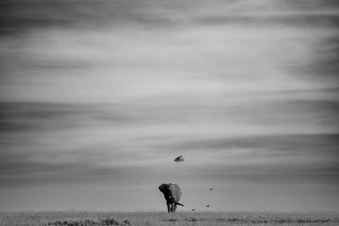 "And Then There Was None" By Giorgio Scala