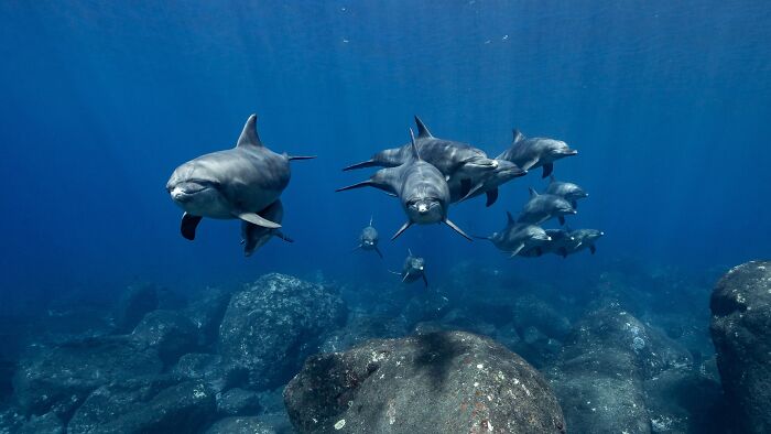 "Happy Encounter" By Manami Kuriyama