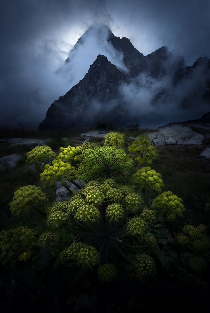 "Revelation" By Gabriel Jakab