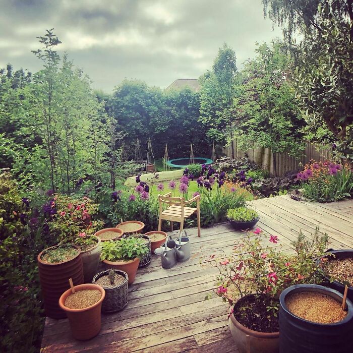 Wooden deck in a lush backyard with potted plants and garden flowers, showcasing chic backyard ideas for outdoors.